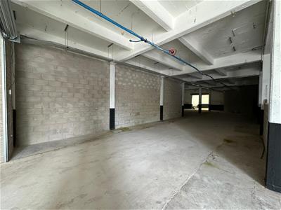 Picture 7